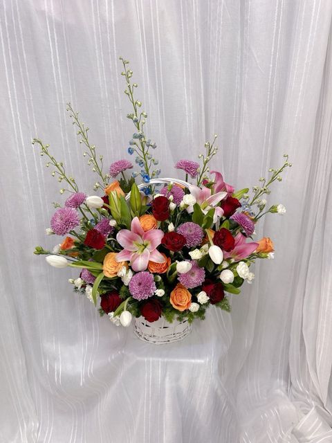 photo_6197002024575420405_y