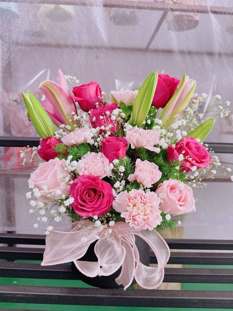 photo_6197002024575420408_y