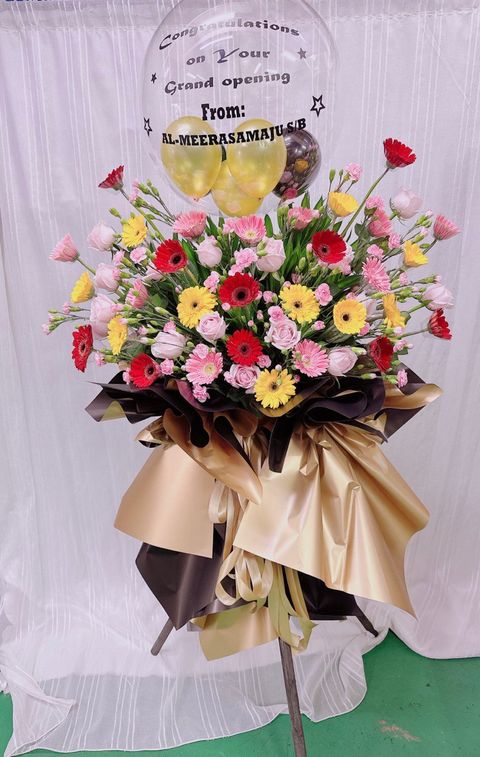 photo_6197317253700110066_y