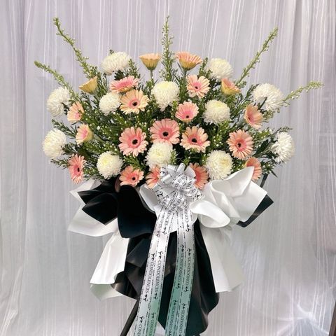 photo_6226333017664766710_y (1)