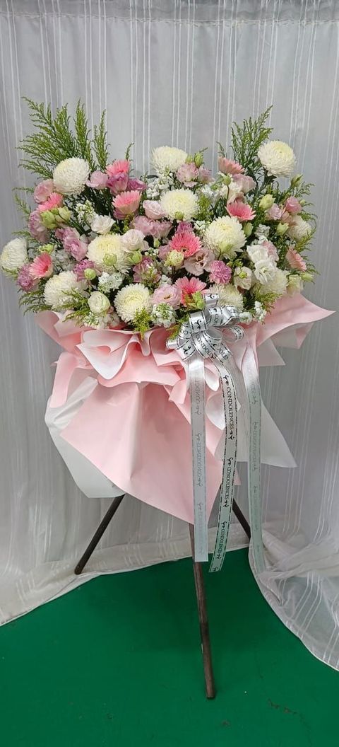 photo_6248950276790799365_y