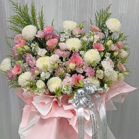 photo_6248950276790799365_y