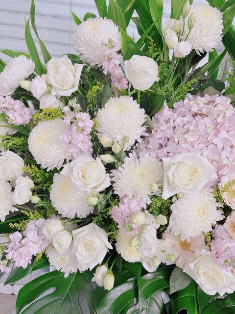 photo_6253711179318937440_y (1)