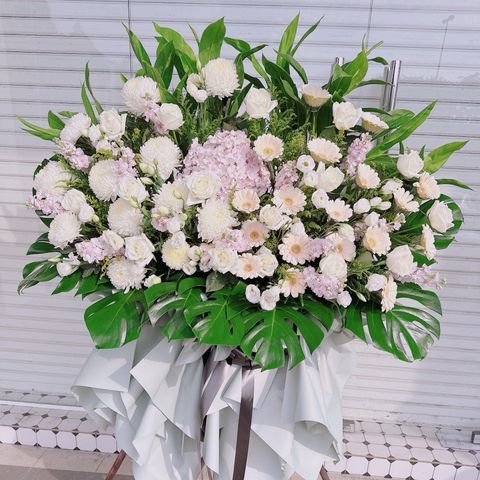 photo_6253711179318937439_y (1)