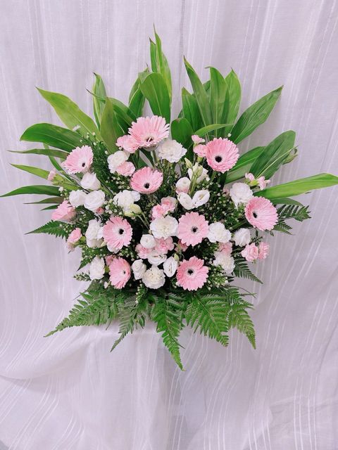 photo_6269198552215439070_y