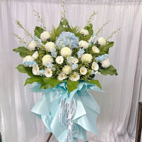 photo_6296565615674114259_y