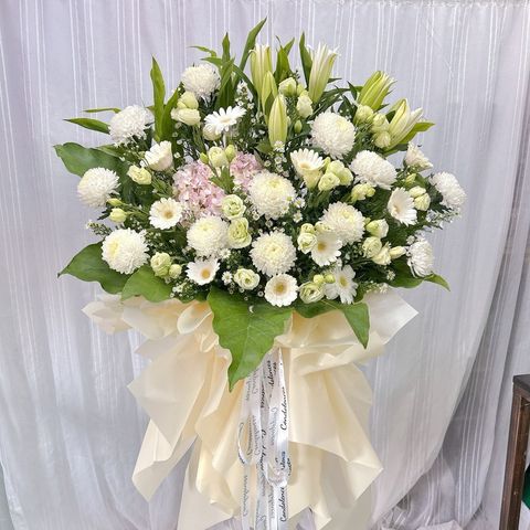 photo_6296565615674114260_y