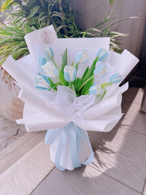 photo_6064113009132947052_y