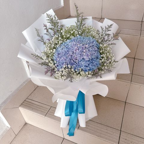 photo_6100637741730613281_y