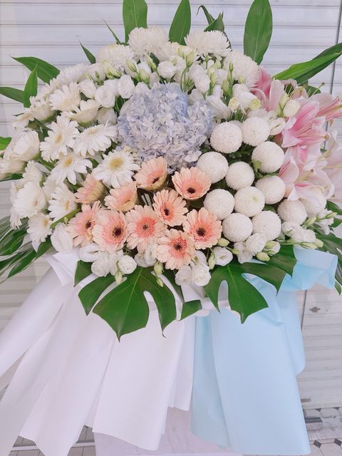 photo_6181314154015643221_y