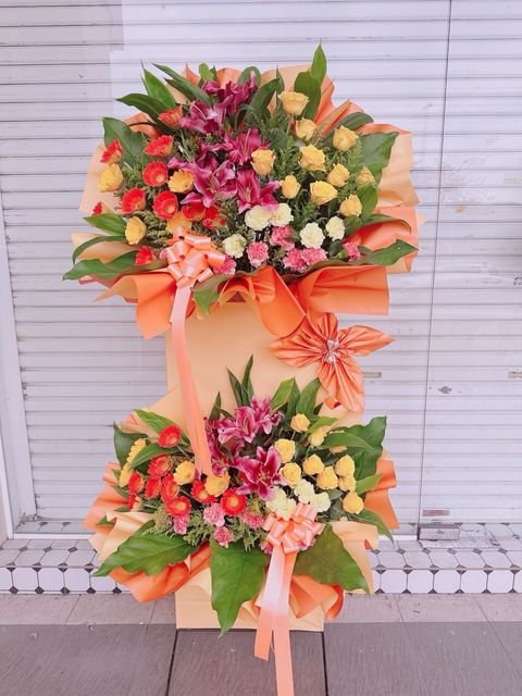 photo_6181515343168657661_y