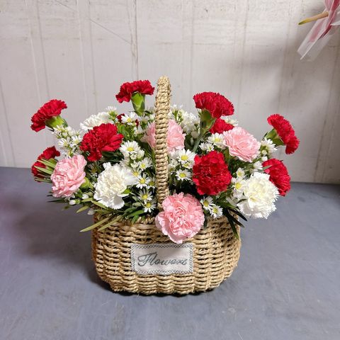 photo_6163266035717883279_y