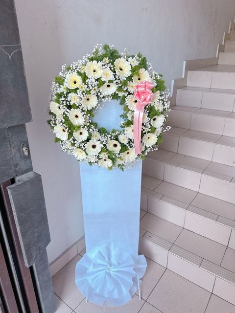 photo_6163350156947341900_y