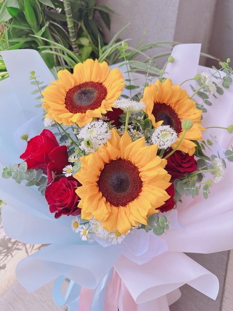 photo_6192810802214456660_y