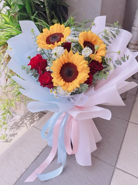 photo_6192810802214456662_y