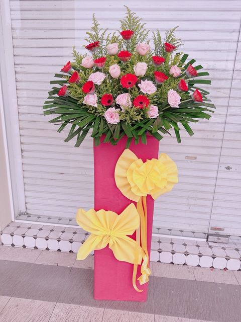 photo_6206398429471556982_y (1)