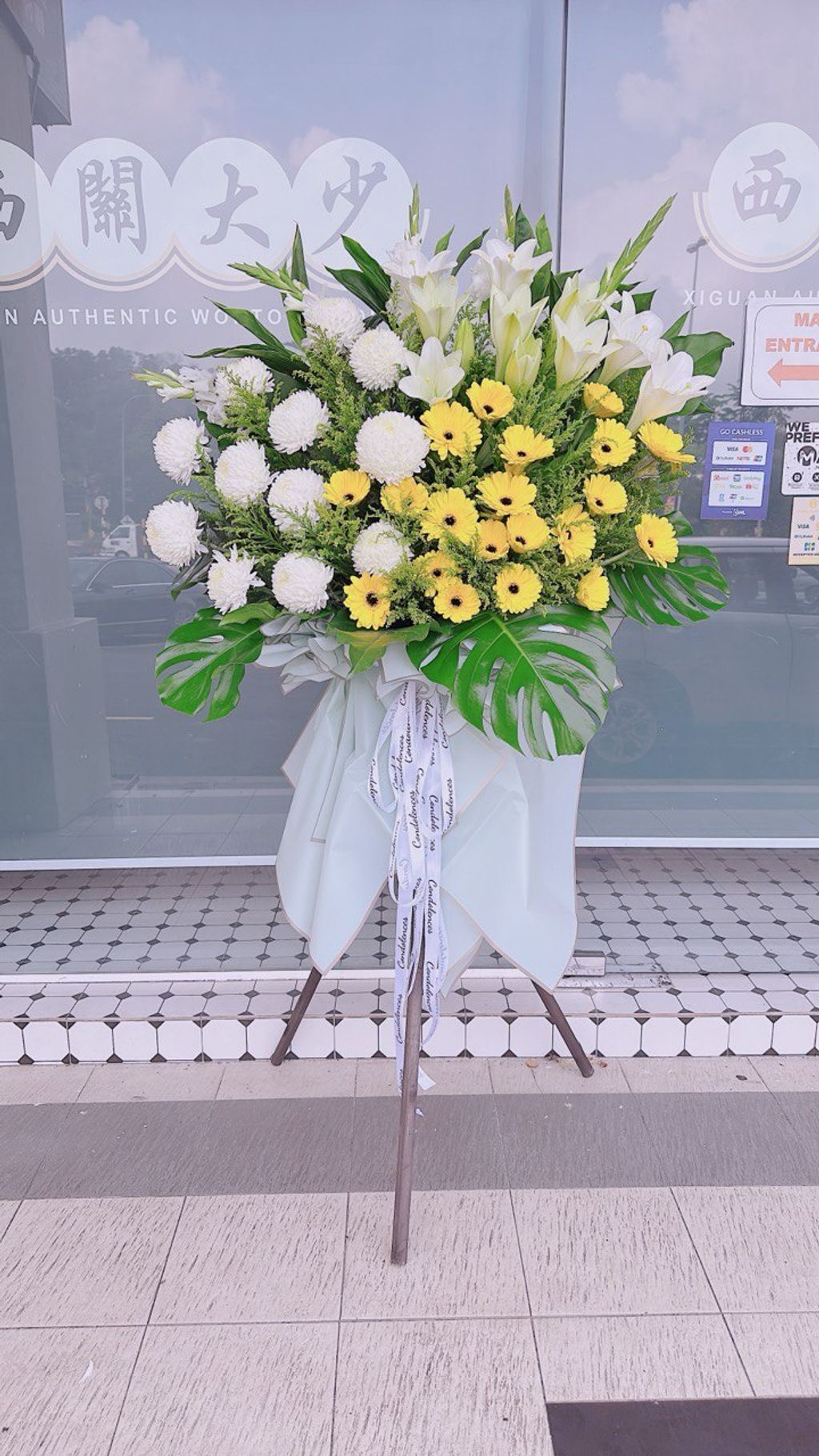 6111666393116773508 (1)