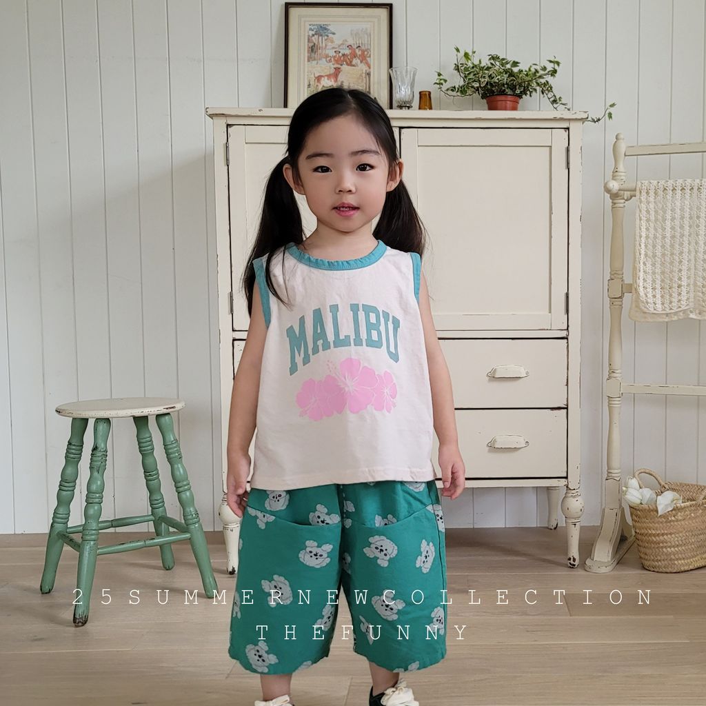 말리부나시 (2)