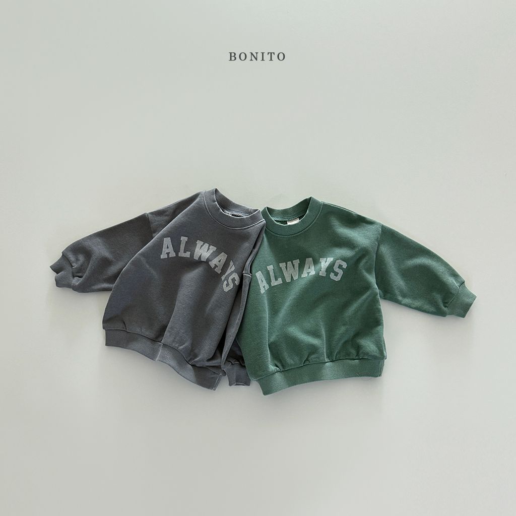 올3