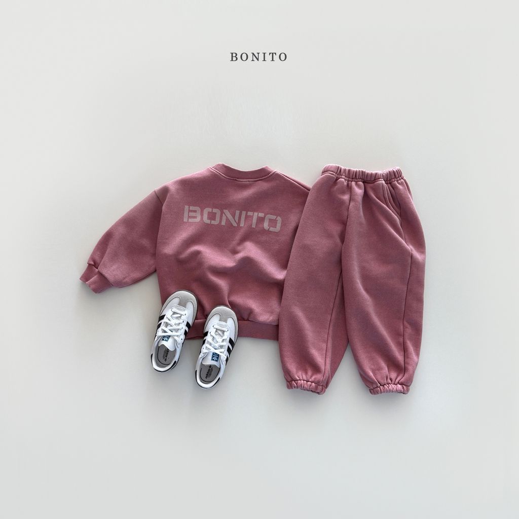 피12-1