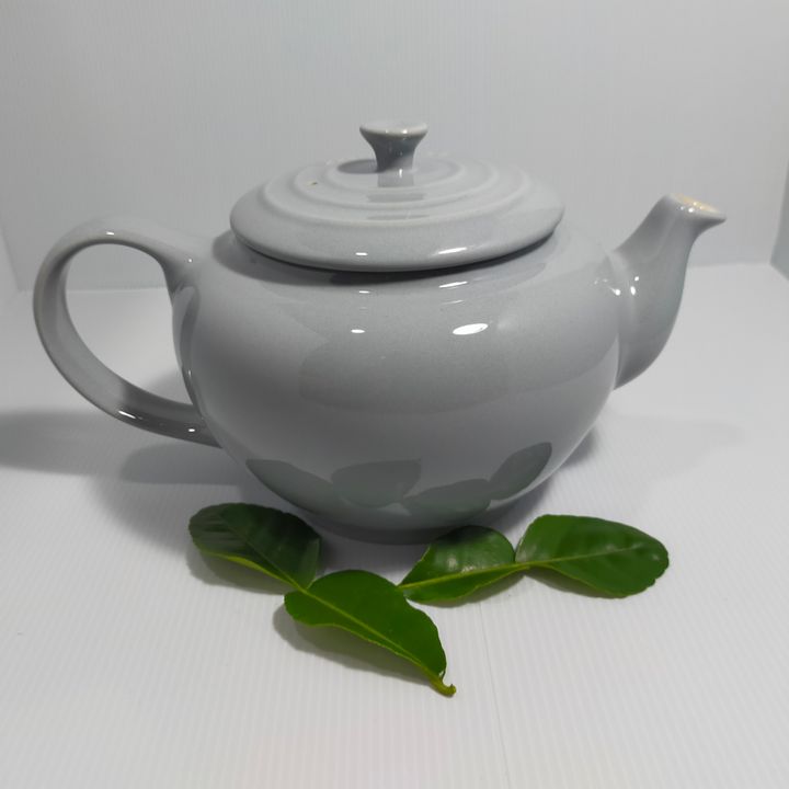IMG_1635570435228.png