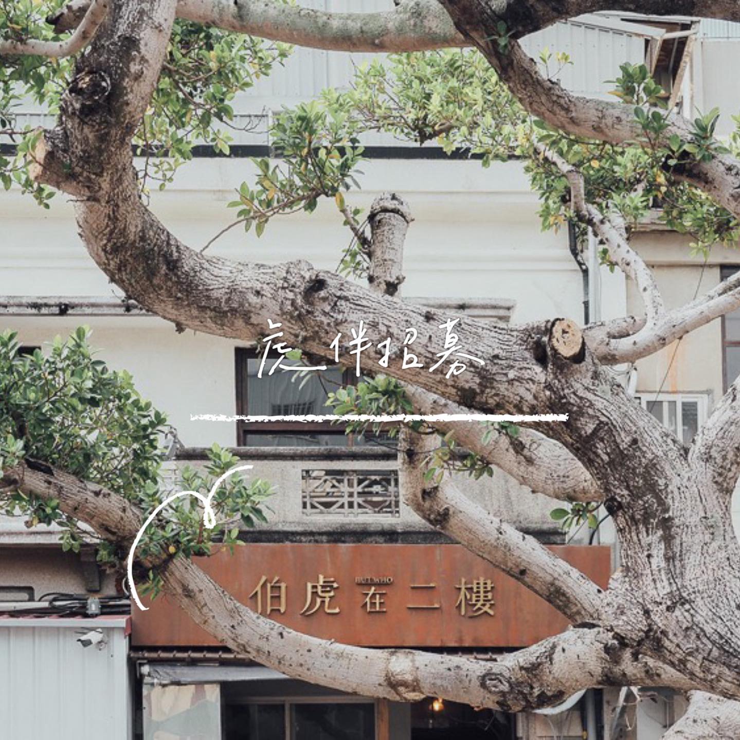 恆春 伯虎在二樓|虎伴招募