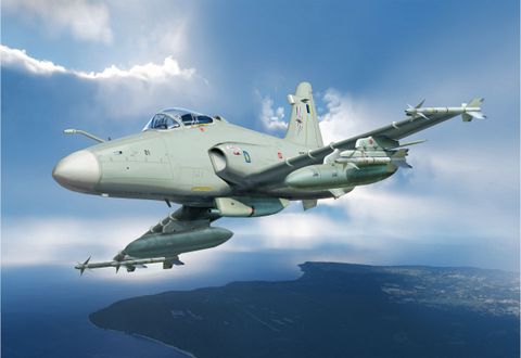 AAM7231_Hawk-200-Malaysia