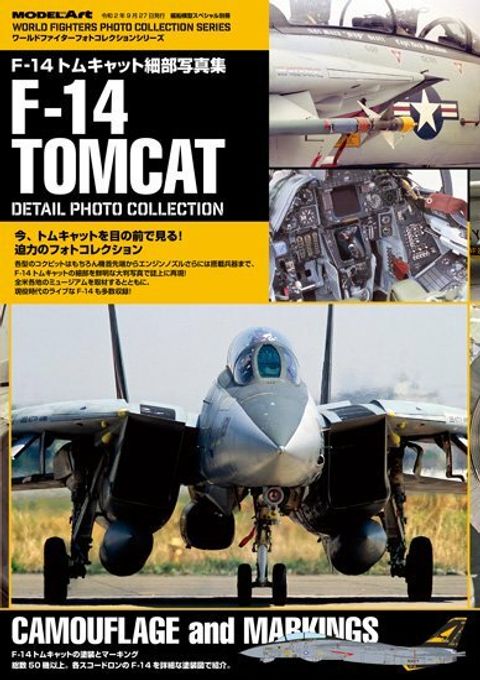 153097347 F-14 Tomcat.jpg