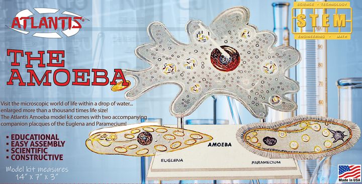 ATLANTIS MODELS - L3800 Amoeba Single Cell Model Kit STEM final