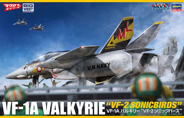HSG65875 1