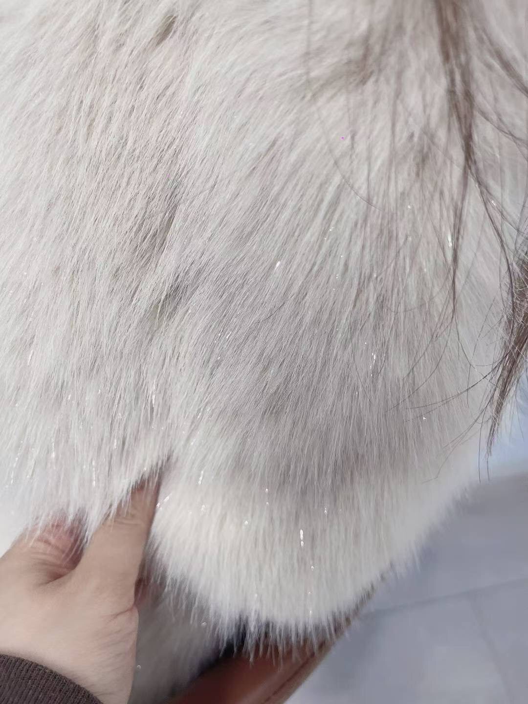 598646176_1187223213484855_6131383563758547325_n