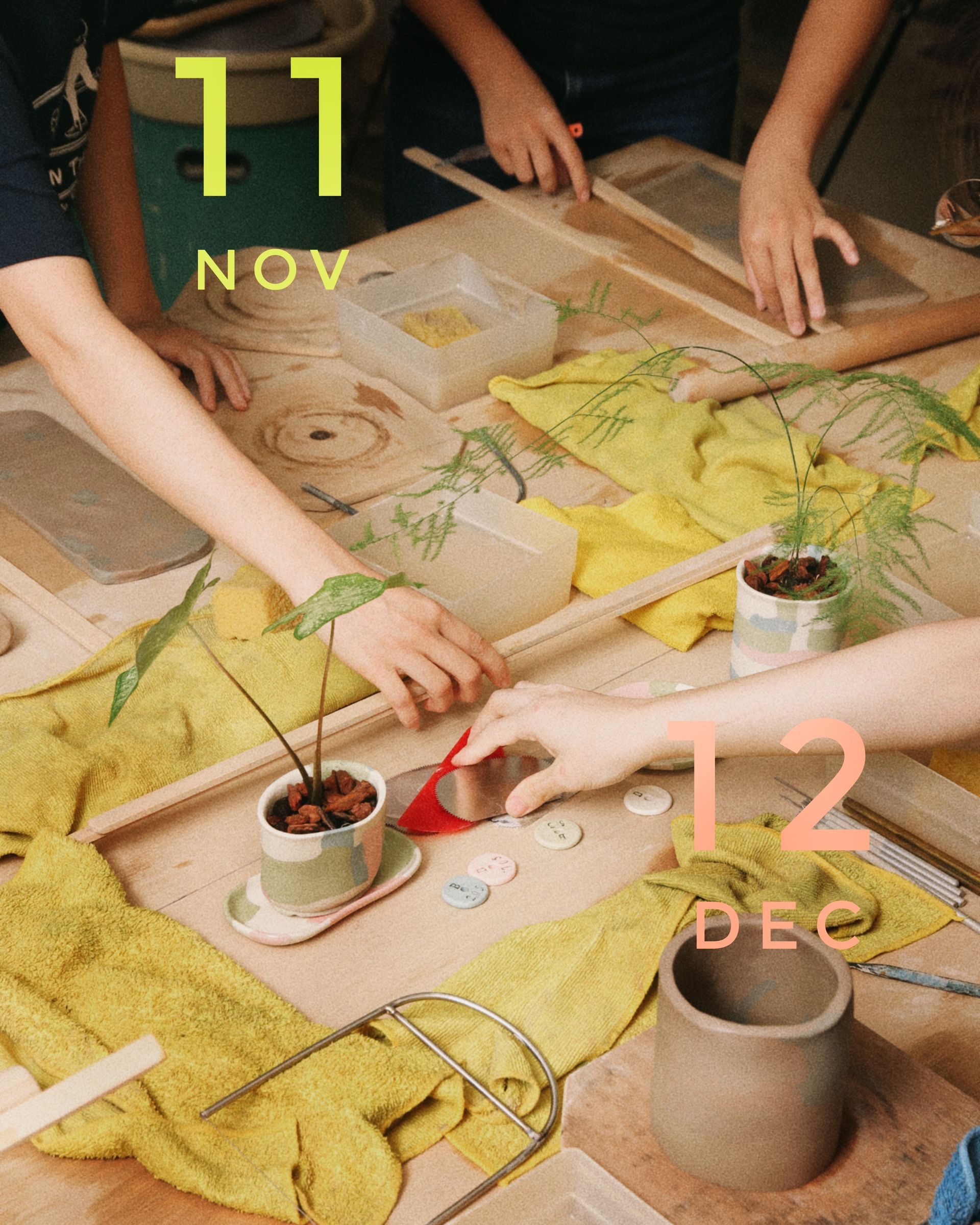 Tu Xing /土星 | 11.12月課程報名