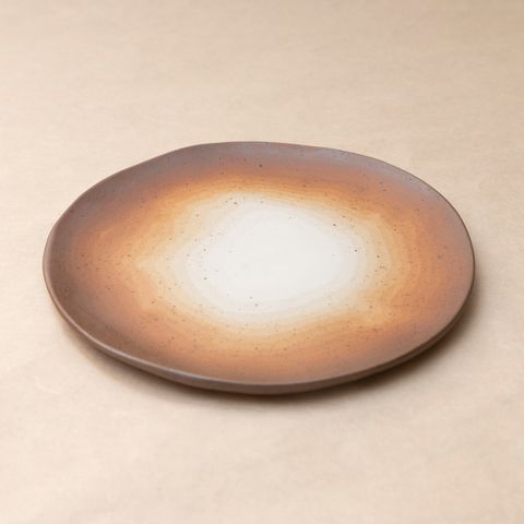 0C3A0295