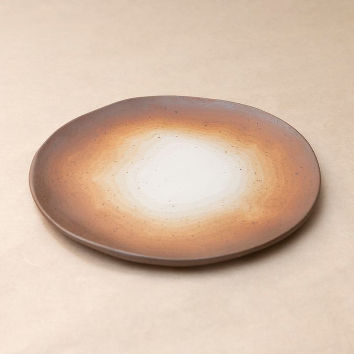 0C3A0295