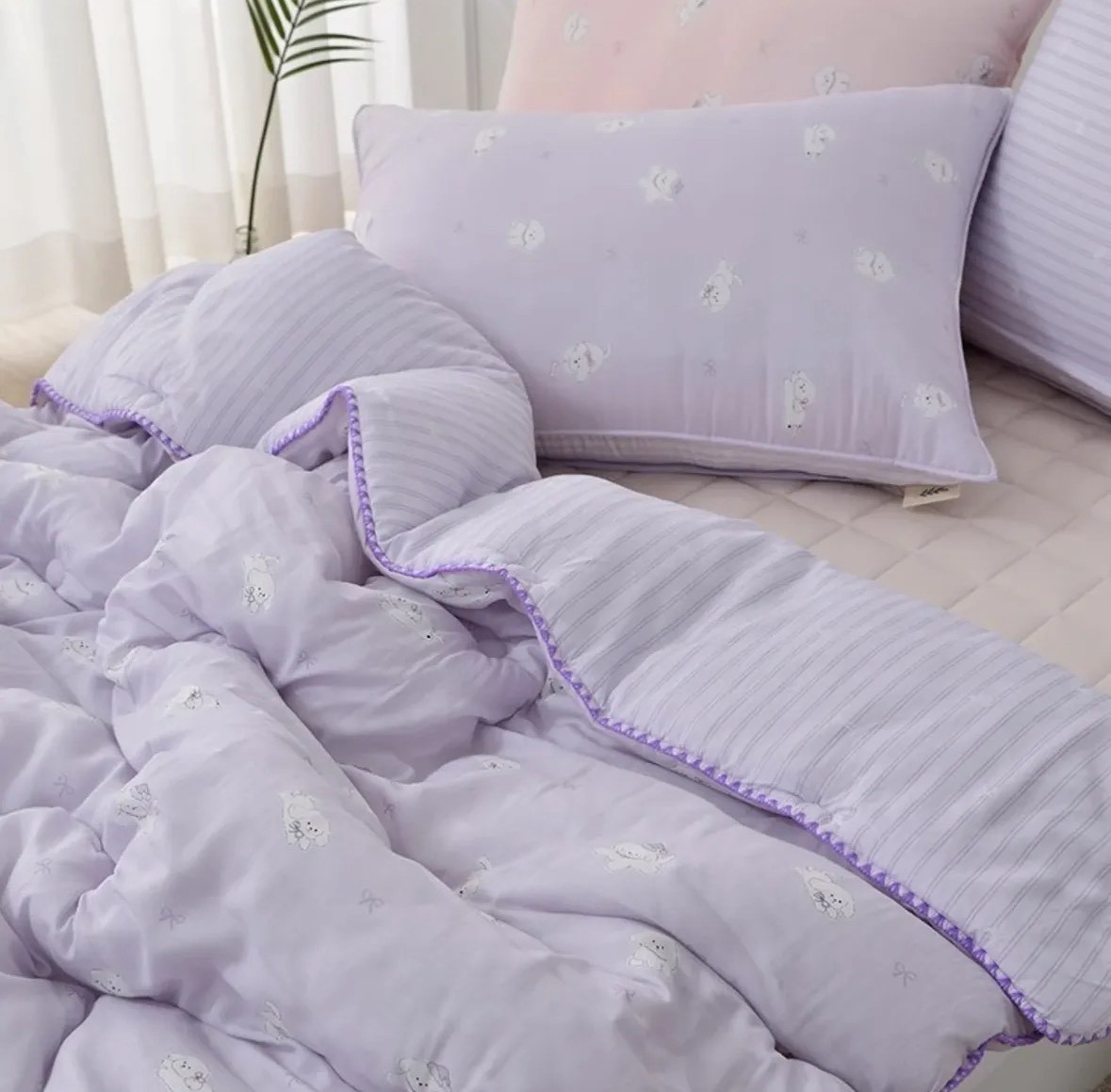 LINE_ALBUM_韓國棉被_251123_36