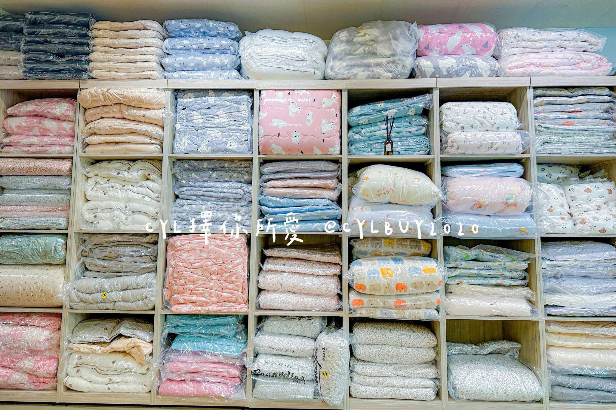 502626199_1258884598937561_2672028118439445827_n