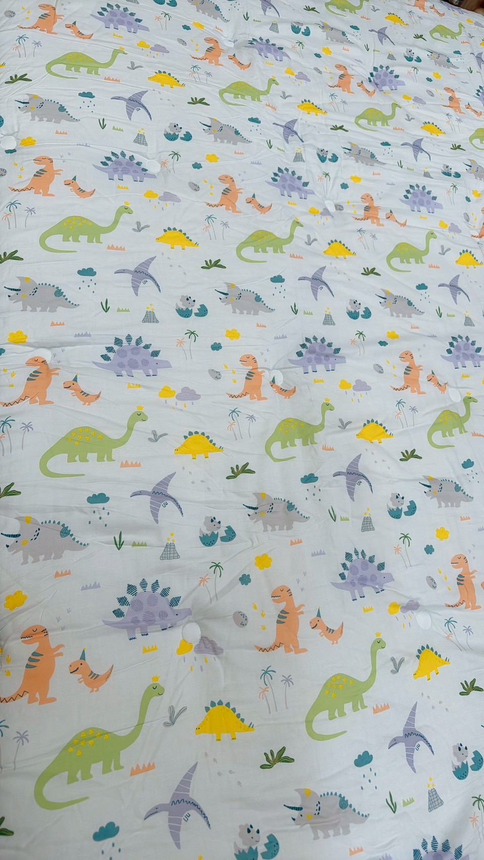 LINE_ALBUM_新款上架_251224_4