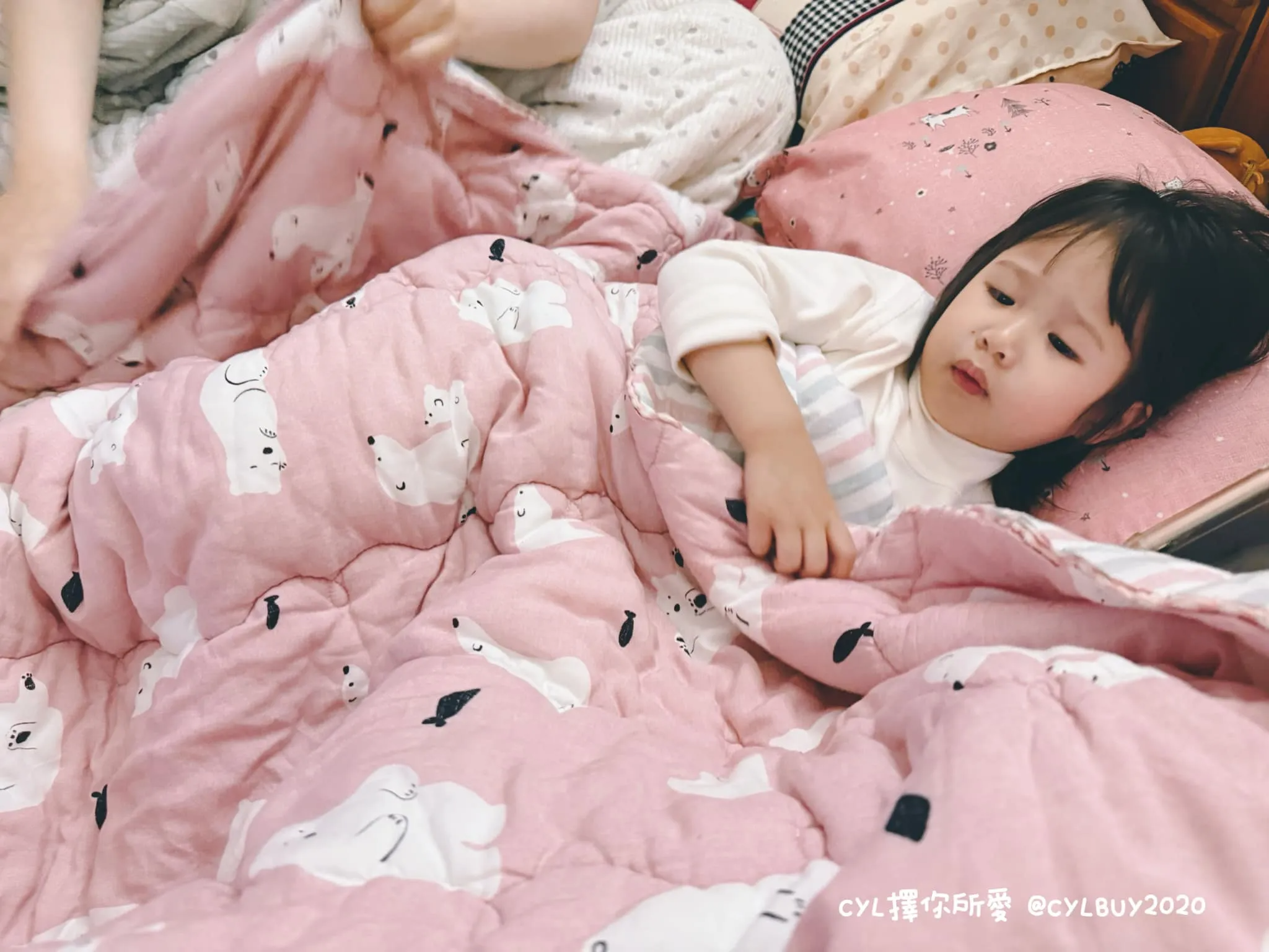 476218266_1179377203554968_8588311874275271151_n