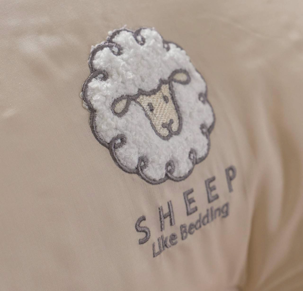 LINE_ALBUM_2026121_260121_2