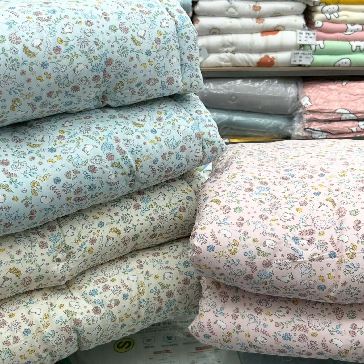 LINE_ALBUM_2026128_260129_1