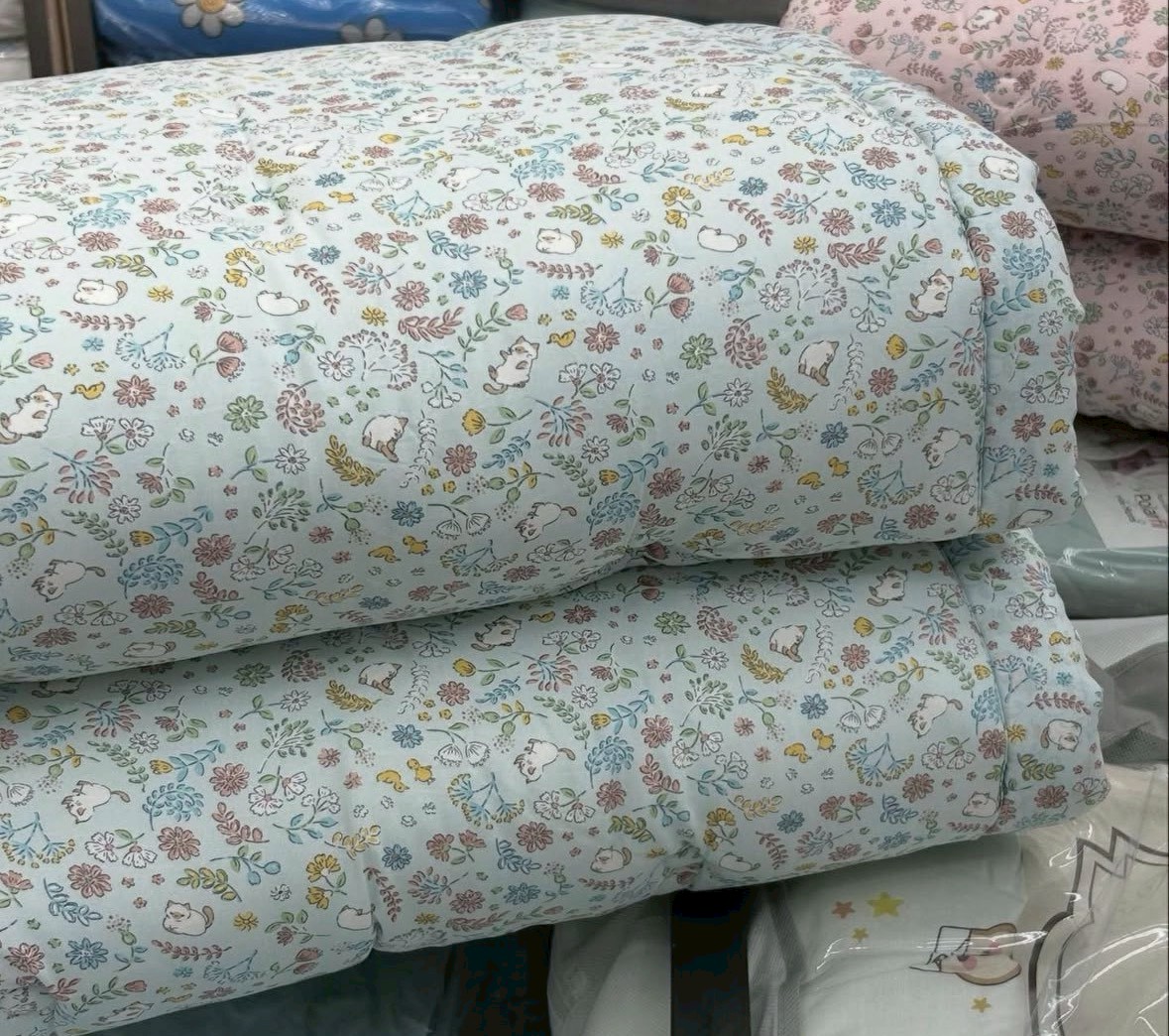 LINE_ALBUM_2026128_260129_6