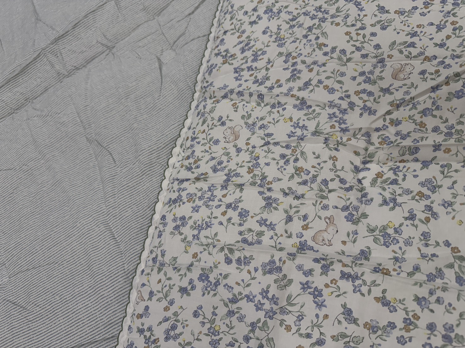 S__44728331