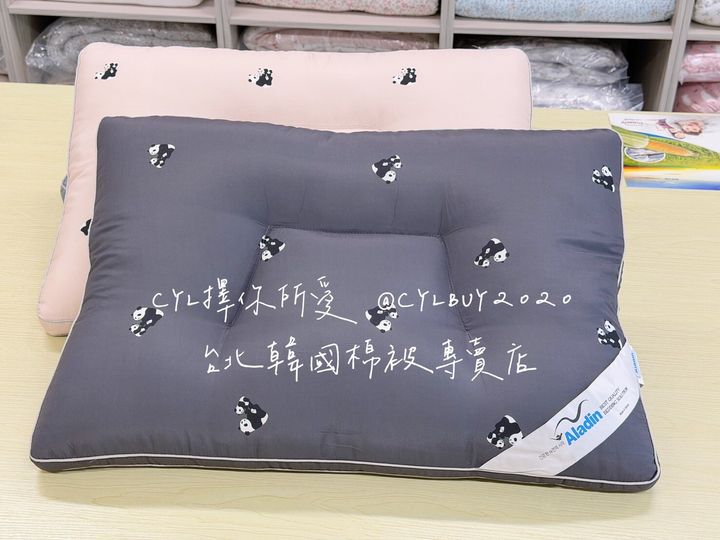 LINE_ALBUM_枕頭_260526_6