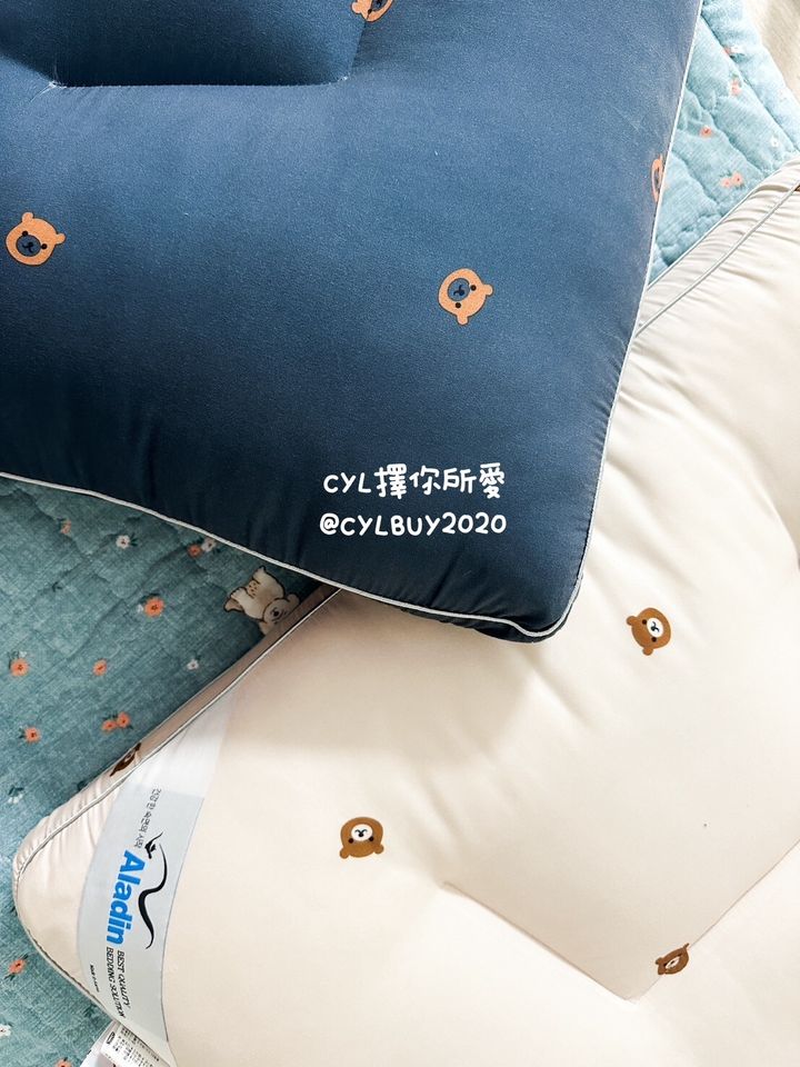 LINE_ALBUM_防蟎枕頭_241106_2