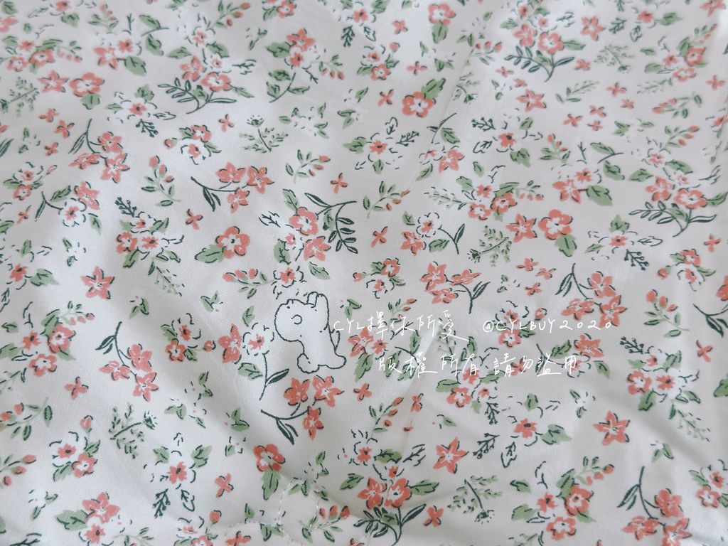 image_C601B807-E458-4496-B3AE-3350301A1101_1761499163