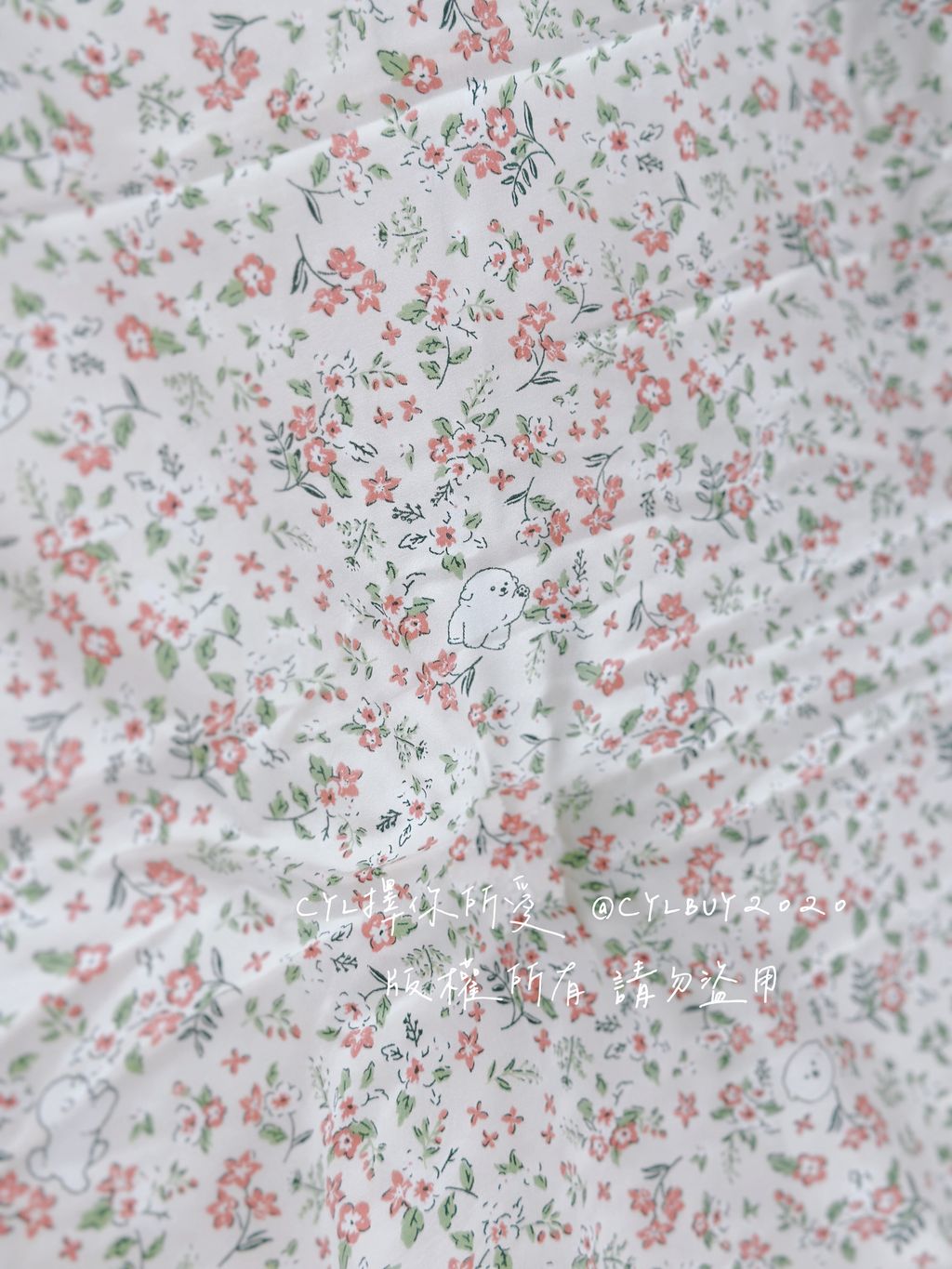 image_CE419C8B-3D69-4CCA-9205-65C517295753_1761499163