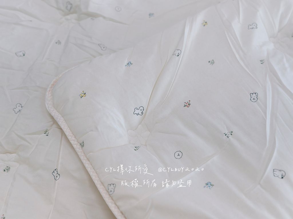 image_D17AA03C-BB3C-429A-824F-E8D431C7DE13_1761499163