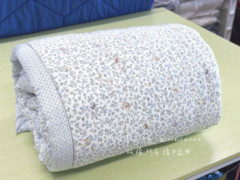 image_7A4AD6CE-ACC3-4BC4-A487-FF4B23C22727_1761499356