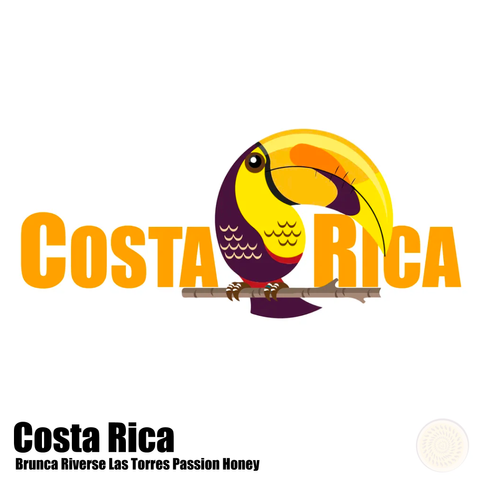 百香蜜_托雷斯-01