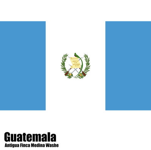 瓜地馬拉 美帝納莊園-01